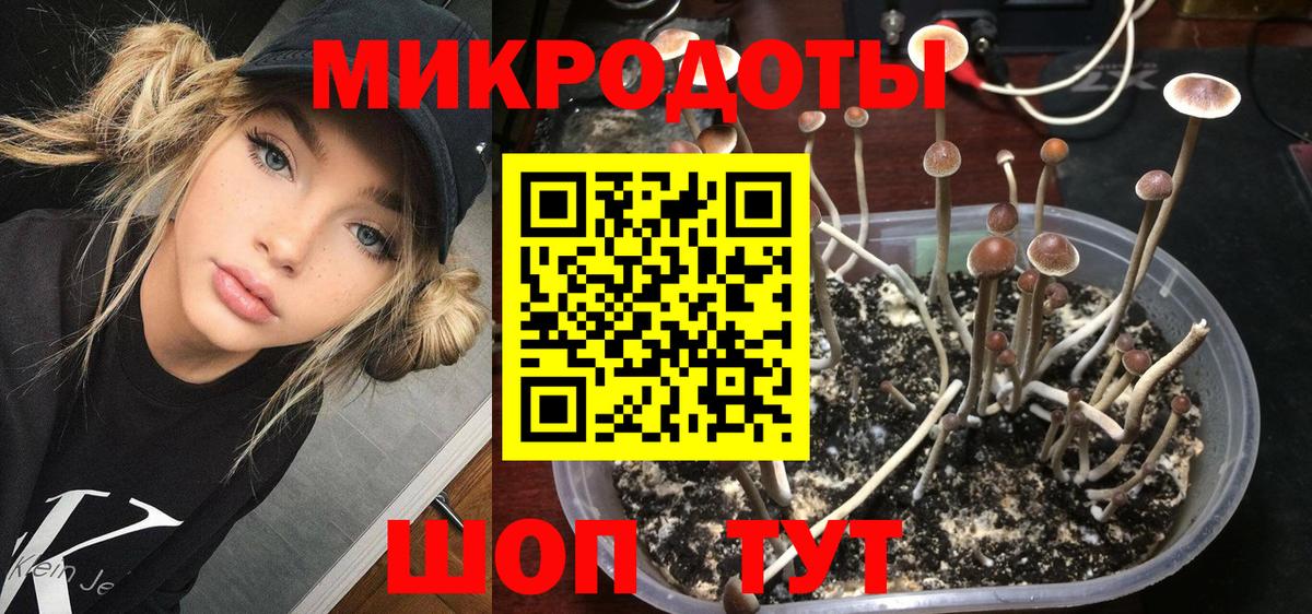 Псилоцибиновые грибы Magic Shrooms Новотроицк