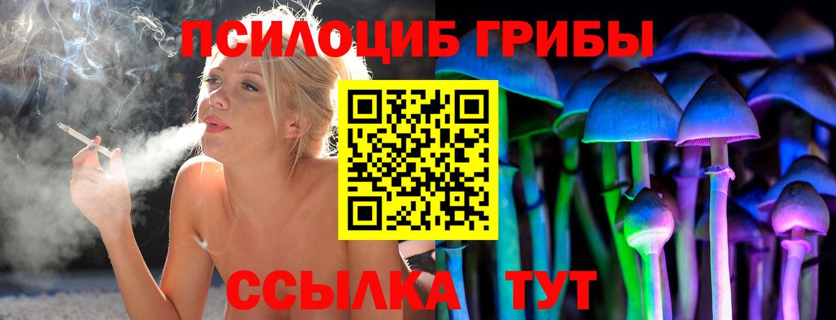Псилоцибиновые грибы Psilocybe  Вход с VPN  Новотроицк 